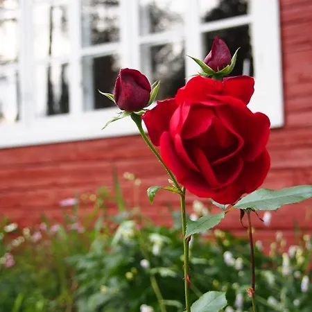 Loma-vietonen Holiday Village Meltosjärvi